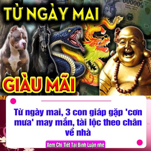 Từ ngày mai, 3 con giáp gặp 'cơn mưa' may mắn, tài lộc theo chân về nhà