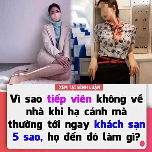 VÌ SAO TIẾP VIÊN KHÔNG VỀ NHÀ KHI HẠ CÁNH MÀ THƯỜNG TỚI NGAY KHÁCH SẠN 5 SAO, HỌ ĐẾN ĐÓ LÀM GÌ?