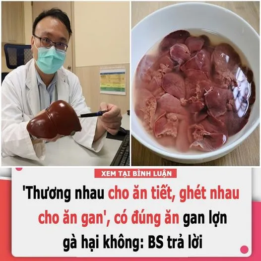 THƯƠNG NHAU CHO ĂN TIẾT, GHÉT NHAU CHO ĂN GAN’, CÓ ĐÚNG ĂN GAN LỢN, GÀ HẠI KHÔNG: BS TRẢ LỜI