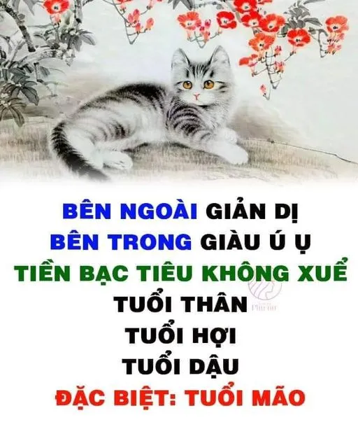 RỒNG ẨN DƯỚI MÂY: 3 TUỔI “CƯỠI SÓNG ĐẠP GIÓ”, TÚI TIỀN RỦNG RỈNH NHẤT NĂM 2024