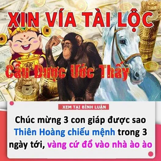 RỒNG ẨN DƯỚI MÂY: 3 TUỔI “CƯỠI SÓNG ĐẠP GIÓ”, TÚI TIỀN RỦNG RỈNH NHẤT NĂM 2024