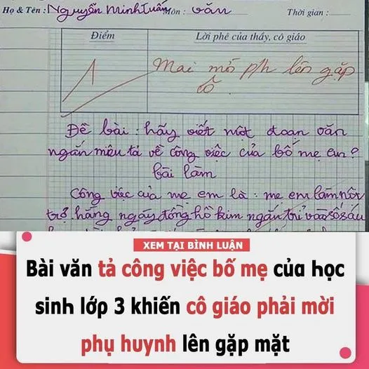 BÀI VĂN TẢ CÔNꞬ VIỆC BỐ MẸ CỦⱭ ҺỌC S.INҺ LỚΡ 3 KH.IẾN CÔ ꞬIÁO PHẢI MỜI PHỤ HᴜYNH LÊN ꞬẶP MẶT