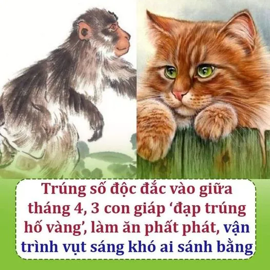 NƯỚC CHẢY CHỖ TRŨNG: 3 TUỔI CÁ CHÉP HÓA RỒNG, T.ÀI- DANH – L.ỘC TĂNG PHI MÃ, 1 TUỔI T.IỀN R.ƠI TR.ÚNG NGƯỜI