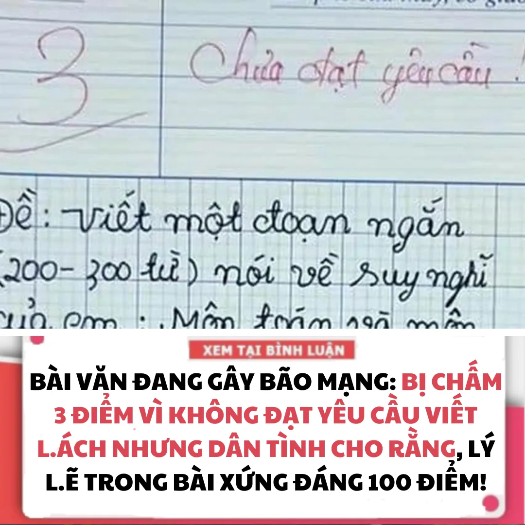 BÀI VĂN ĐANG GÂY BÃO MẠNG: BỊ CHẤM 3 ĐIỂM VÌ KHÔNG ĐẠT YÊU CẦU VIẾT LÁCH NHƯNG DÂN TÌNH CHO RẰNG, LÝ LẼ TRONG BÀI XỨNG ĐÁNG 100 ĐIỂM!