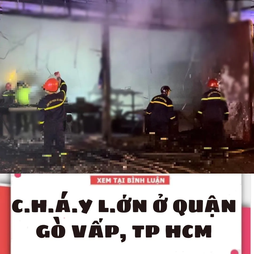 C.H.ÁY L.ỚN Ở QUẬN GÒ VẤP, TP HCM