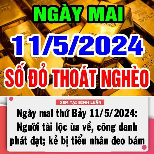 TỬ VI THỨ BẢY NGÀY 11/5/2024 CỦA 12 CON GIÁP: TỴ TÀI LỘC ÙA VỀ, CÔNG DANH PHÁT ĐẠT; MÙI – NGỌ DỄ VƯỚNG THỊ PHI, TIỂU NHÂN ĐEO BÁM