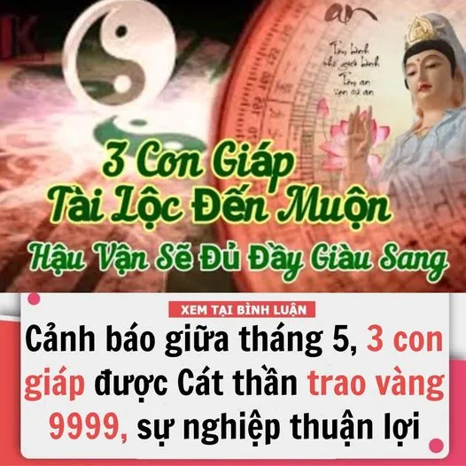 Cảnh báo giữa tháng 5, TOP 3 con giáp được Cát thần tặng vàng 9999, sự nghiệp thuận lợi như cá gặp nước, cuộc sống nở hoa