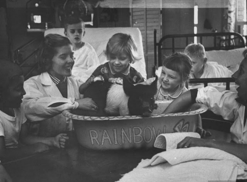 Vintage Photographs of Children and Animals at a Hospital in Michigan That Encourage Therapy Through Animals _ Old US Nostalgia