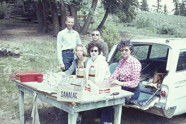 Vintage Photos of People Posing With Their Station Wagons _ UK Time Capsule