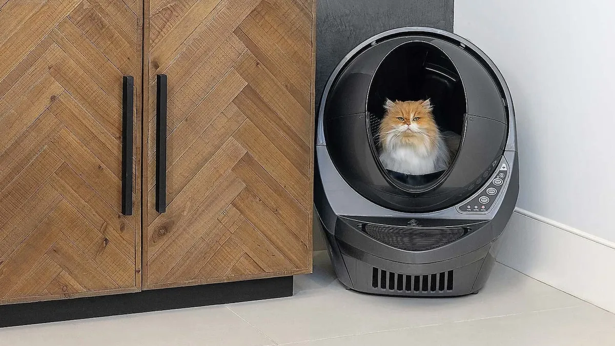 10 Automatic and Mechanical Cat Litter Boxes for a Scoop-Free Household