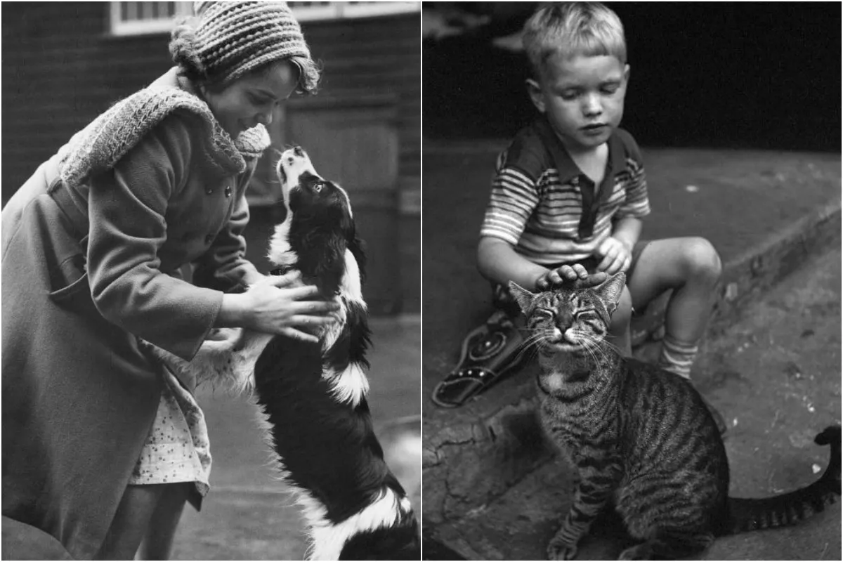 22 Images Vintage Adorables Montrant l'Amour des Enfants pour les Animaux _ frhistoire