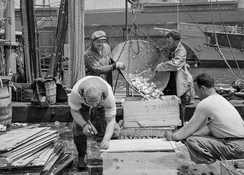 A day from the original Fulton Fish Market in Manhattan, 1943