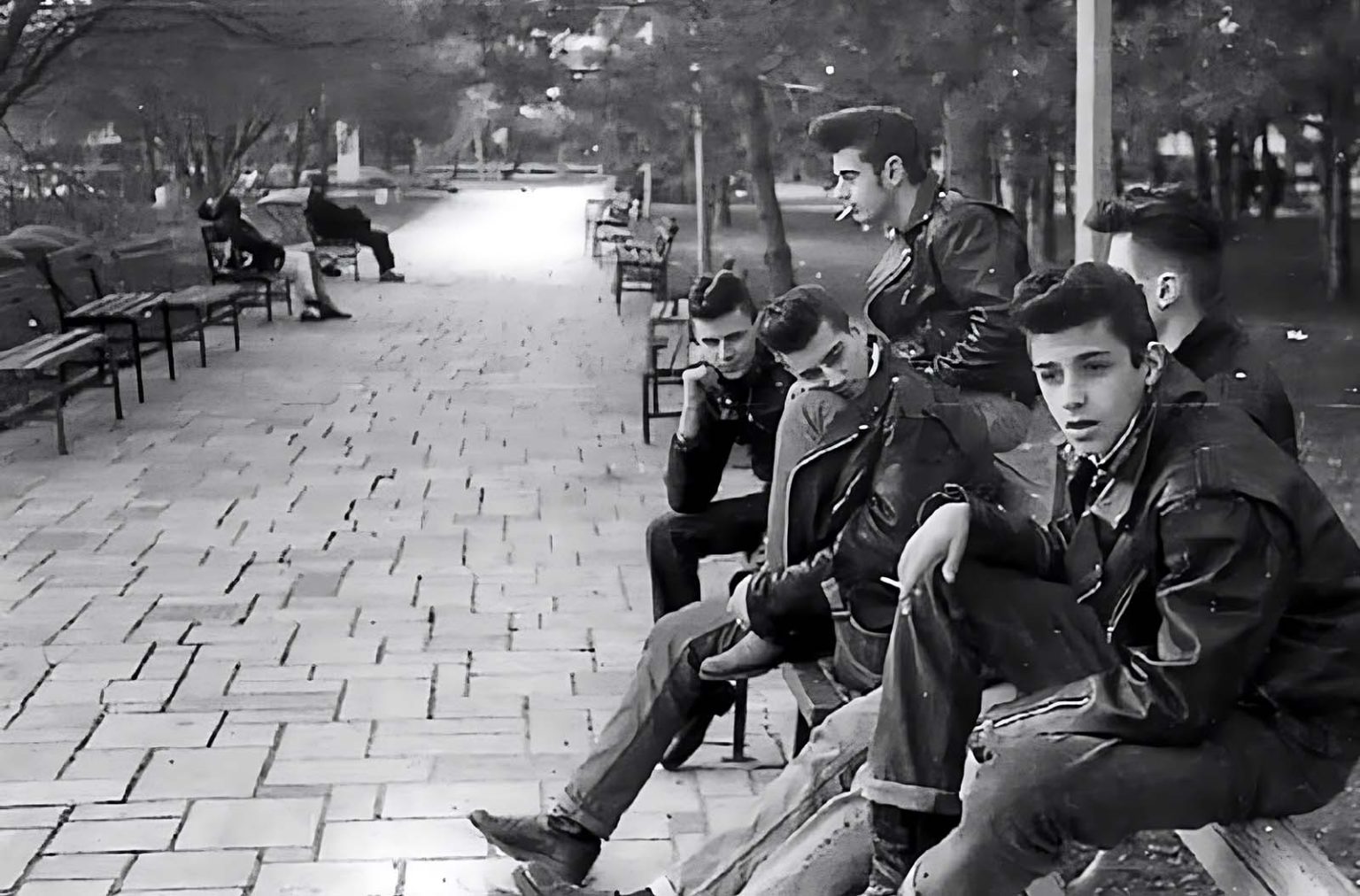 Greasers of the 1950s: Styles, History and Vintage Photos
