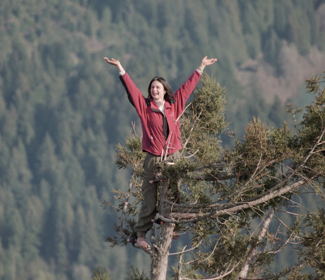 On December 10, 1997 Julia Hill Climbed a 1000-Year-Old Redwood Tree and Lived There for 738 Days