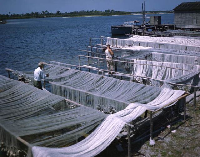 Fascinating Color Pics Show Beautiful Life of Florida in the 1950s