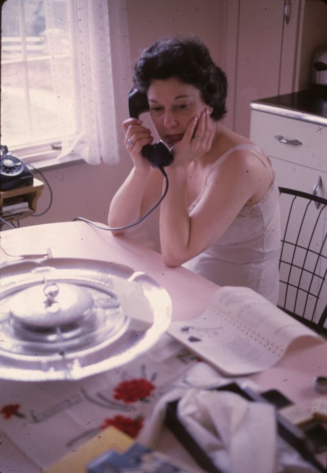 45 Vintage Photos of People at Their Kitchens From the 1960s