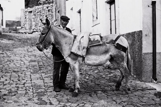 40 foto affascinanti catturano la vita quotidiana in Sicilia nei primi anni '70 _ Ricordi d'Italia