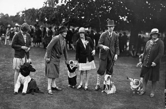 22 Charming Images Documenting Vintage Dog Shows in the Early 20th Century
