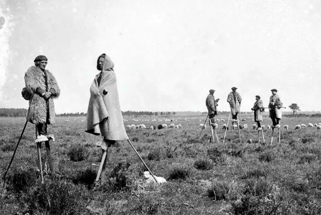 Les bergers sur échasses des prairies françaises, 1843-1937