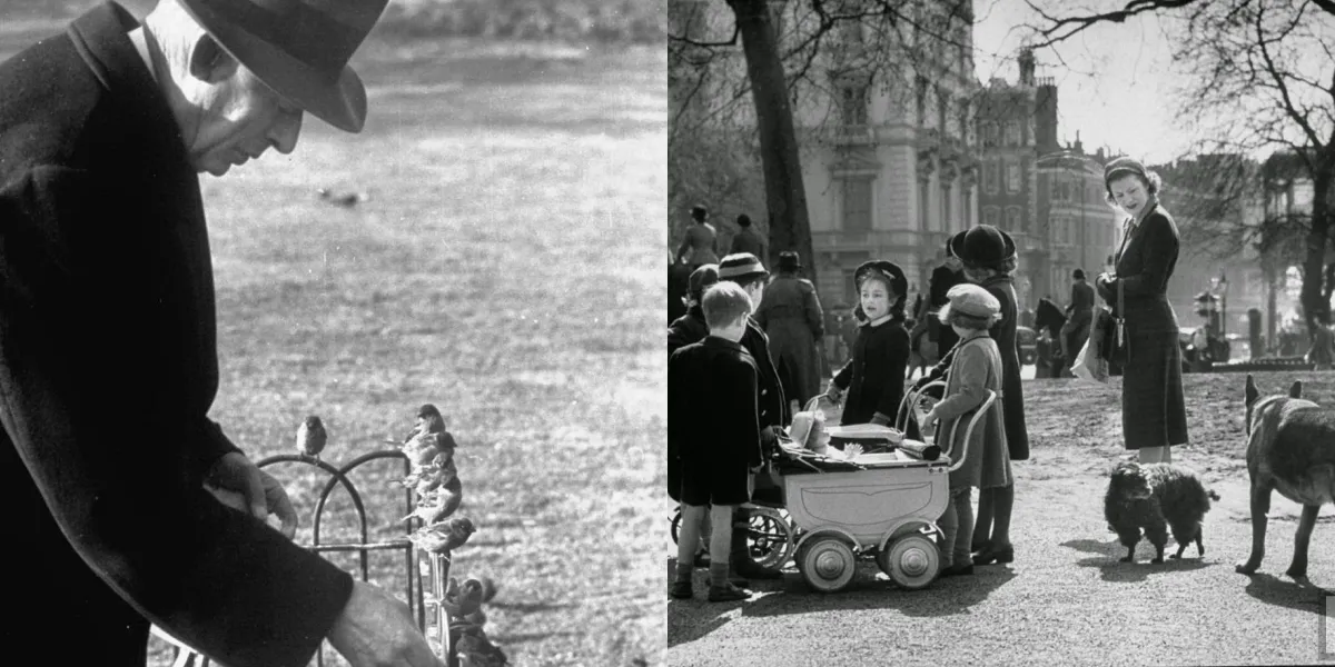 Black and White Photos of Everyday Life in Hyde Park, London in 1951