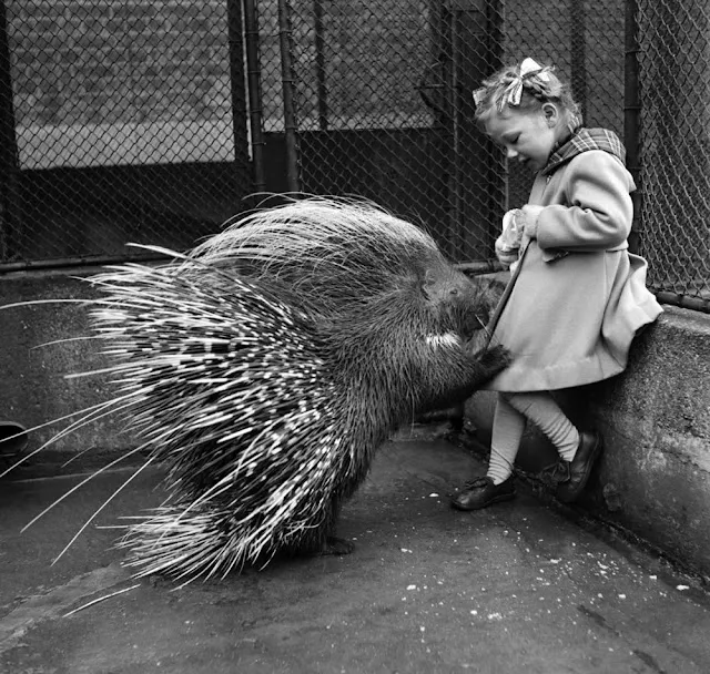 29 Impressive Vintage Photos Capture Street Moments of Children in England During the 1950s _ Ye Olde England