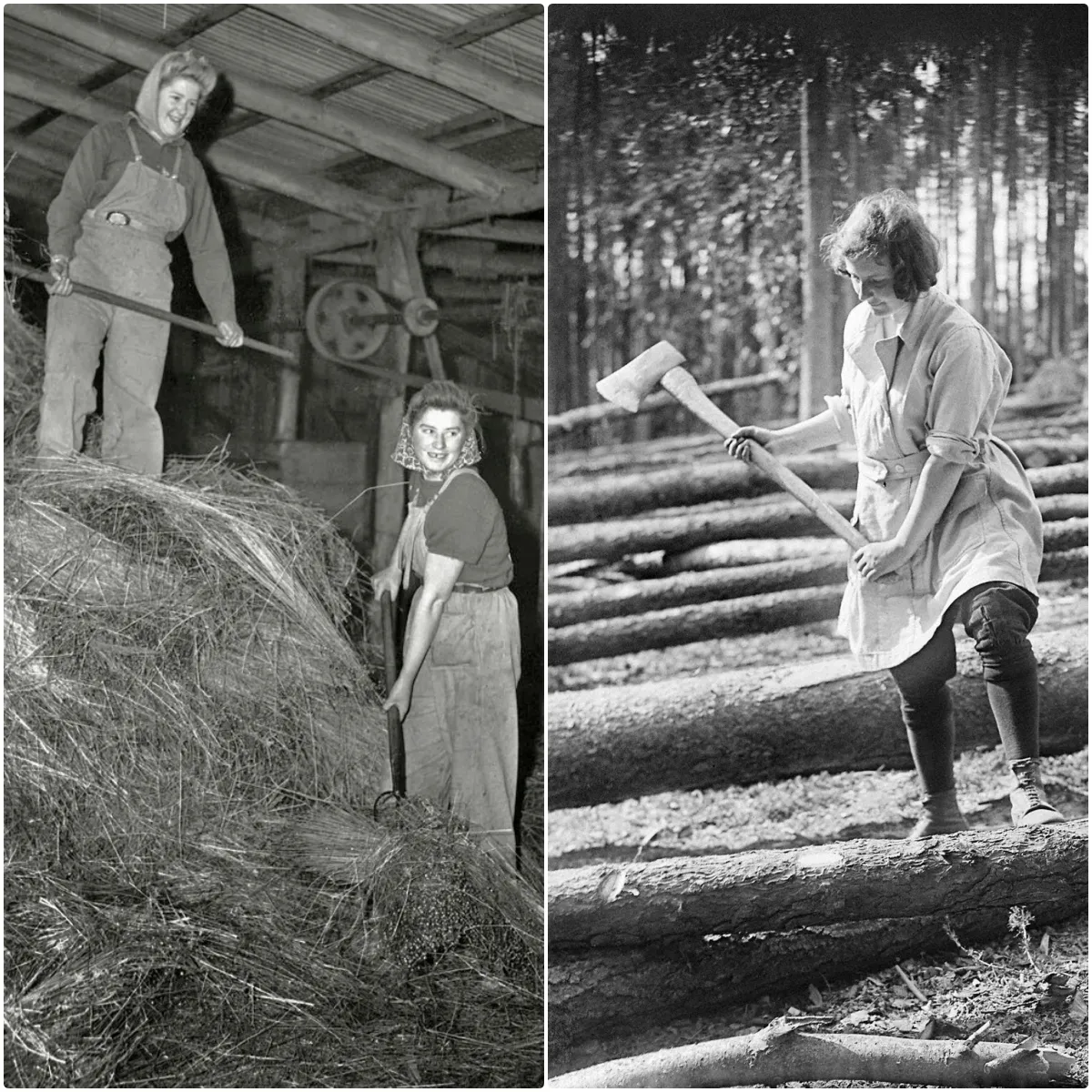 Vintage Photos of Land Girls During World War II