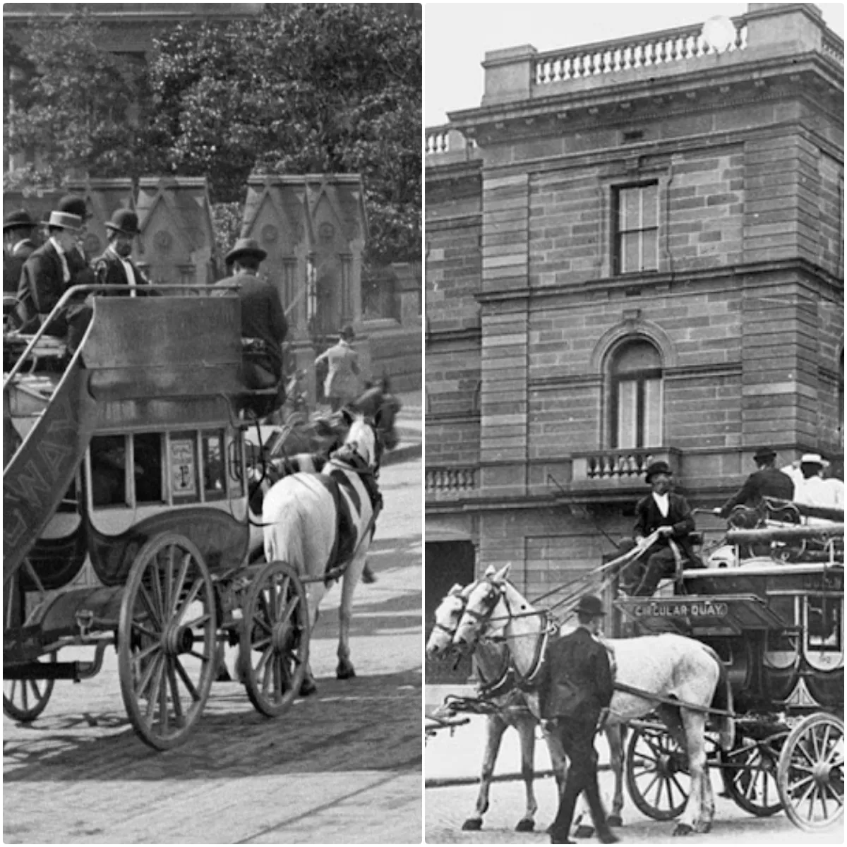 Vintage Photos of Horse Drawn Omnibus in Australia From Between the Late 19th and Early 20th Centuries