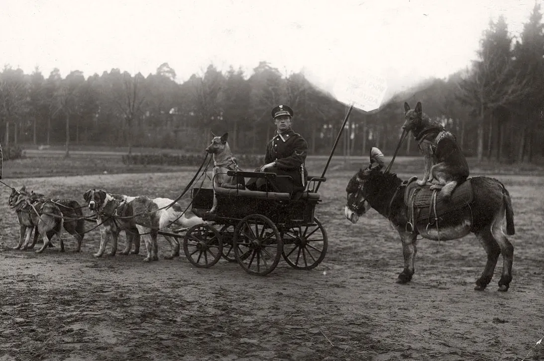 Starocie: Polska w Okresie Międzywojennym (1918-1939)