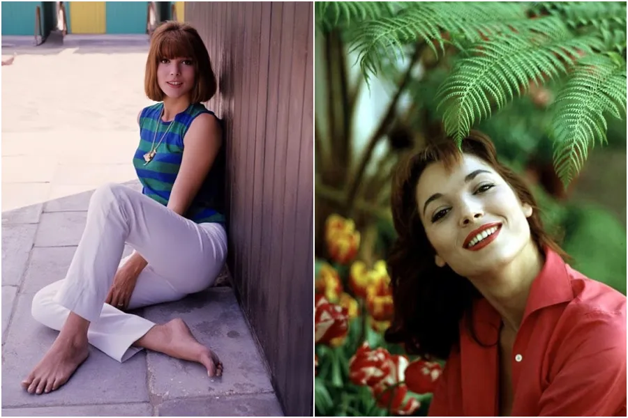 Bellezza classica italiana: 50 foto glamour di Elsa Martinelli negli anni '50 e '60