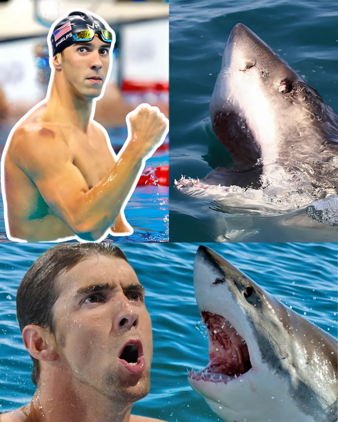 Legendary Michael Phelps only swam 2 seconds less than the shark