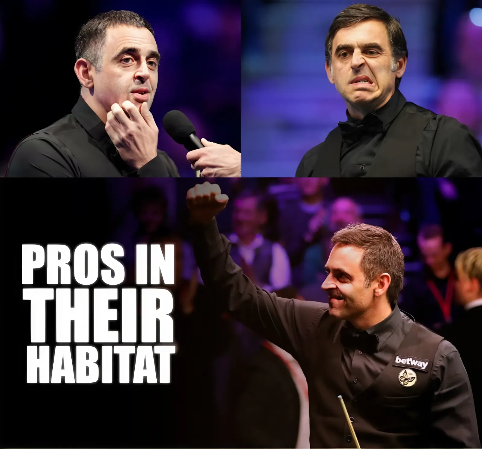 The Beasts Unleash a Final Showdown: O'Sullivan Faces Off in a Nail-Biting Snooker Battle!