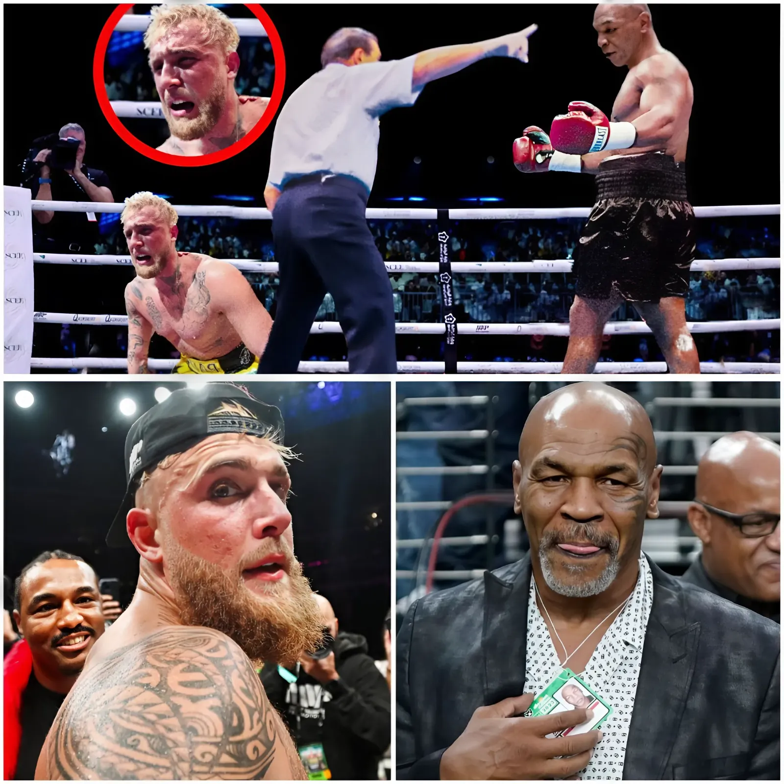 Mike Tyson angrily SPOKE UP: “Everyone Has a Plan Until They Get Punched in the Mouth.” And said Five Reasons Why Tyson Will Destroy Jake Paul Career