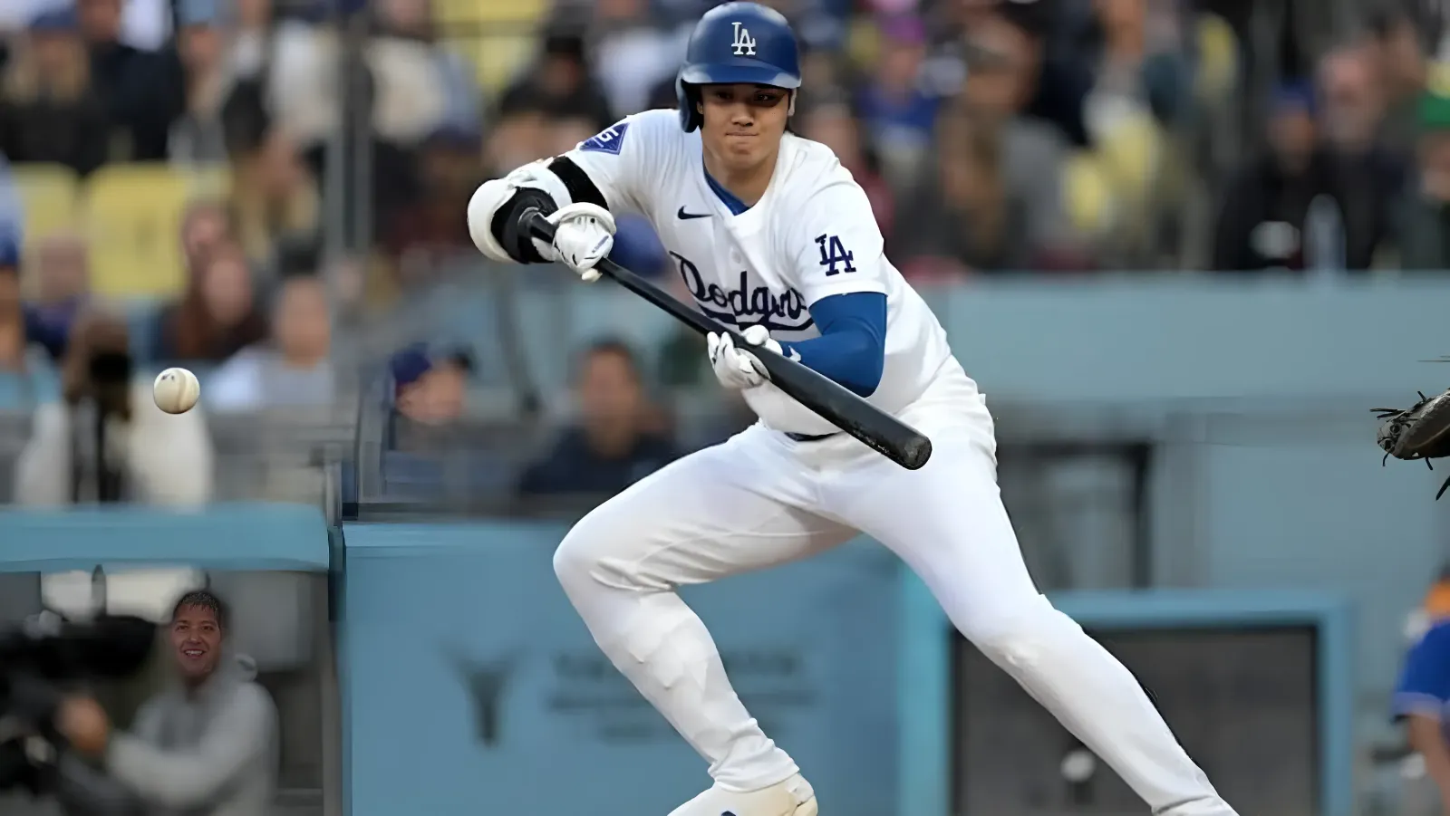 Shohei Ohtani ‘Pleasantly Surprised’ Dave Roberts With Bunt Hit