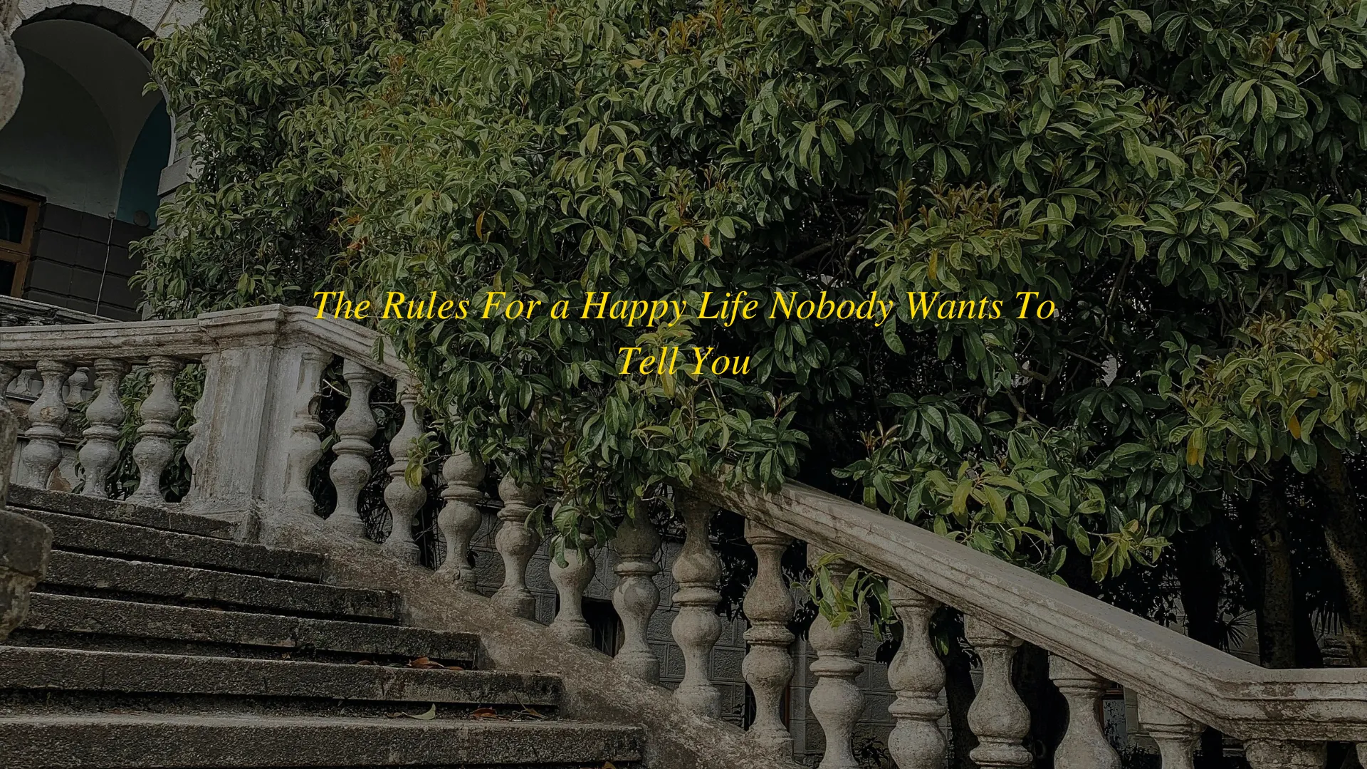 The Rules For a Happy Life Nobody Wants To Tell You