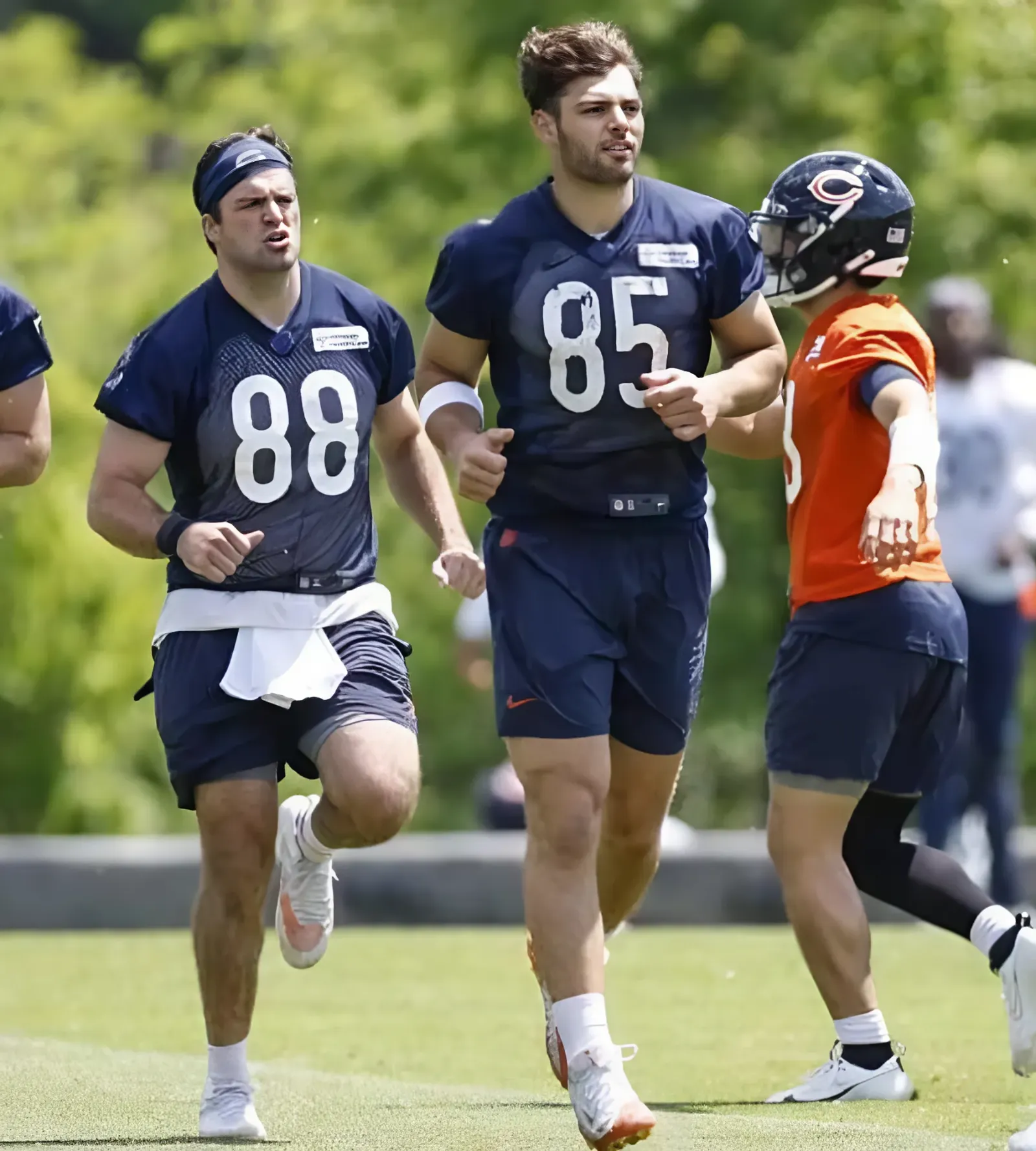 Why Key Chicago Bears Are Regarded as Fantasy Football Duds