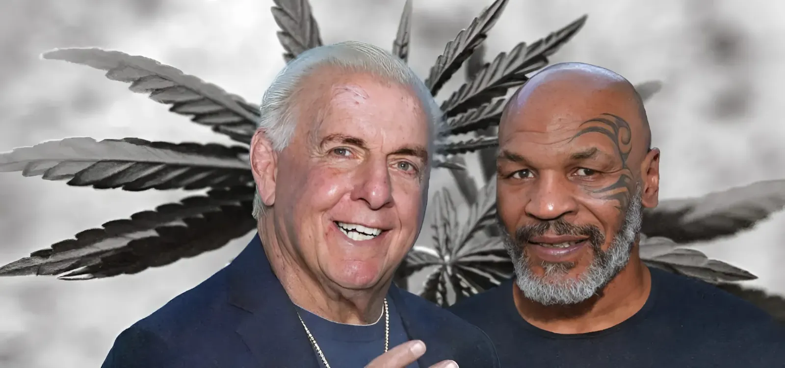 Cannabis Brands By Sports Legends Mike Tyson And Ric Flair Expand Footprint In Missouri