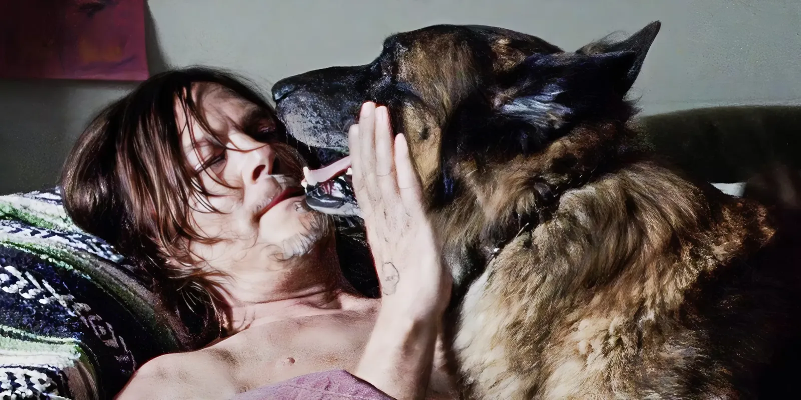 'Best TV Buddy Ever': Norman Reedus Pays Tribute After The Walking Dead's Dog Actor Dies