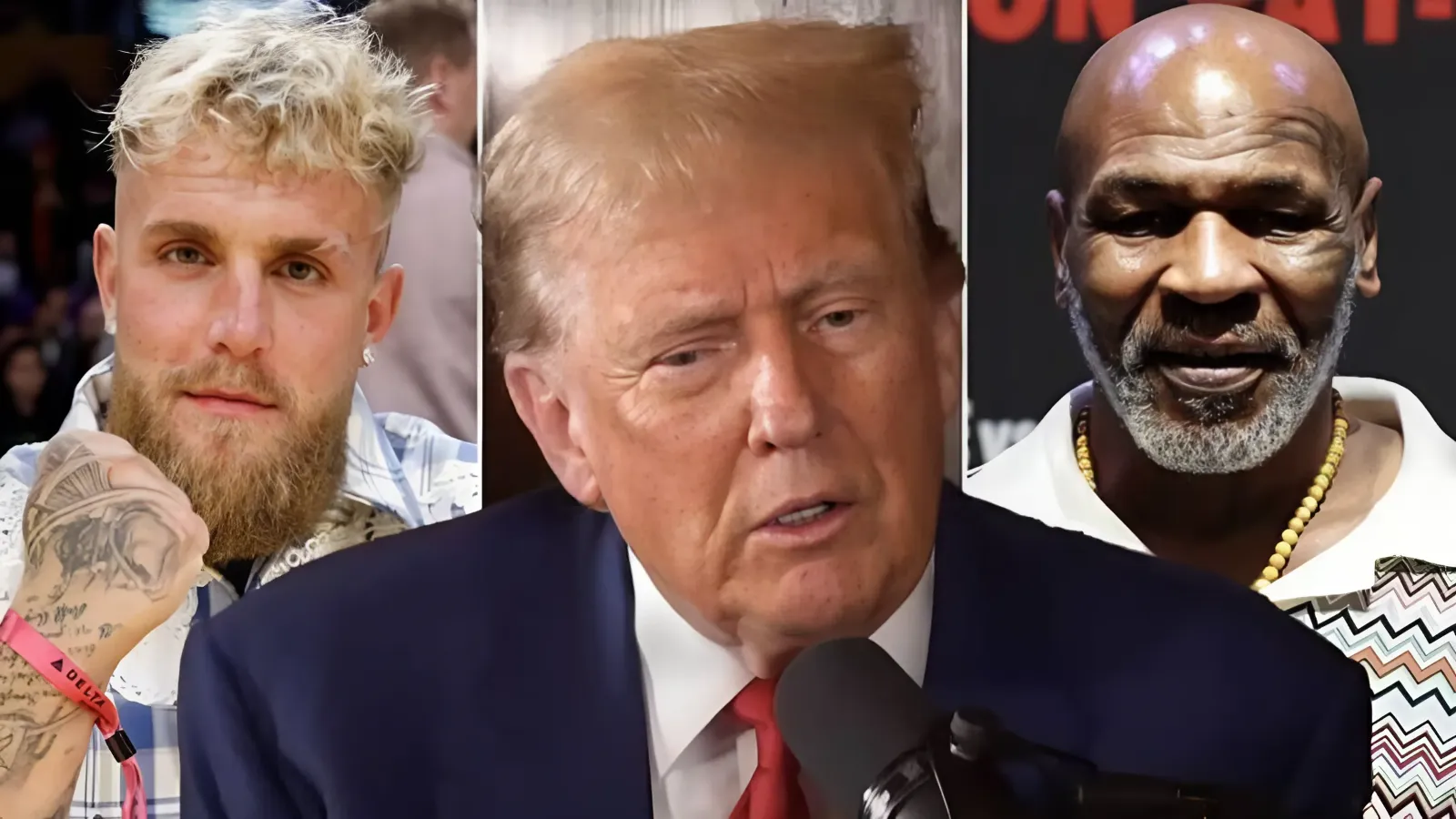 Mike Tyson vs Jake Paul fight prediction made by Donald Trump