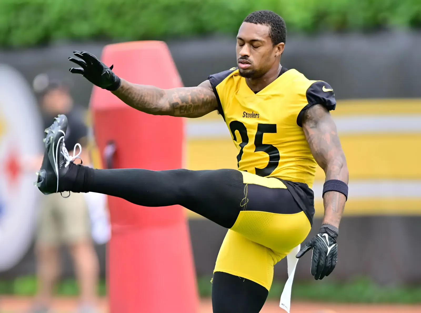 Steelers Have Clear Role Defined for DeShon Elliott