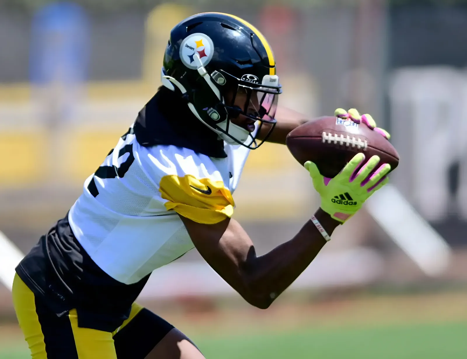 Steelers WR Dez Fitzpatrick Could Make Sleeper Run for Roster Spot