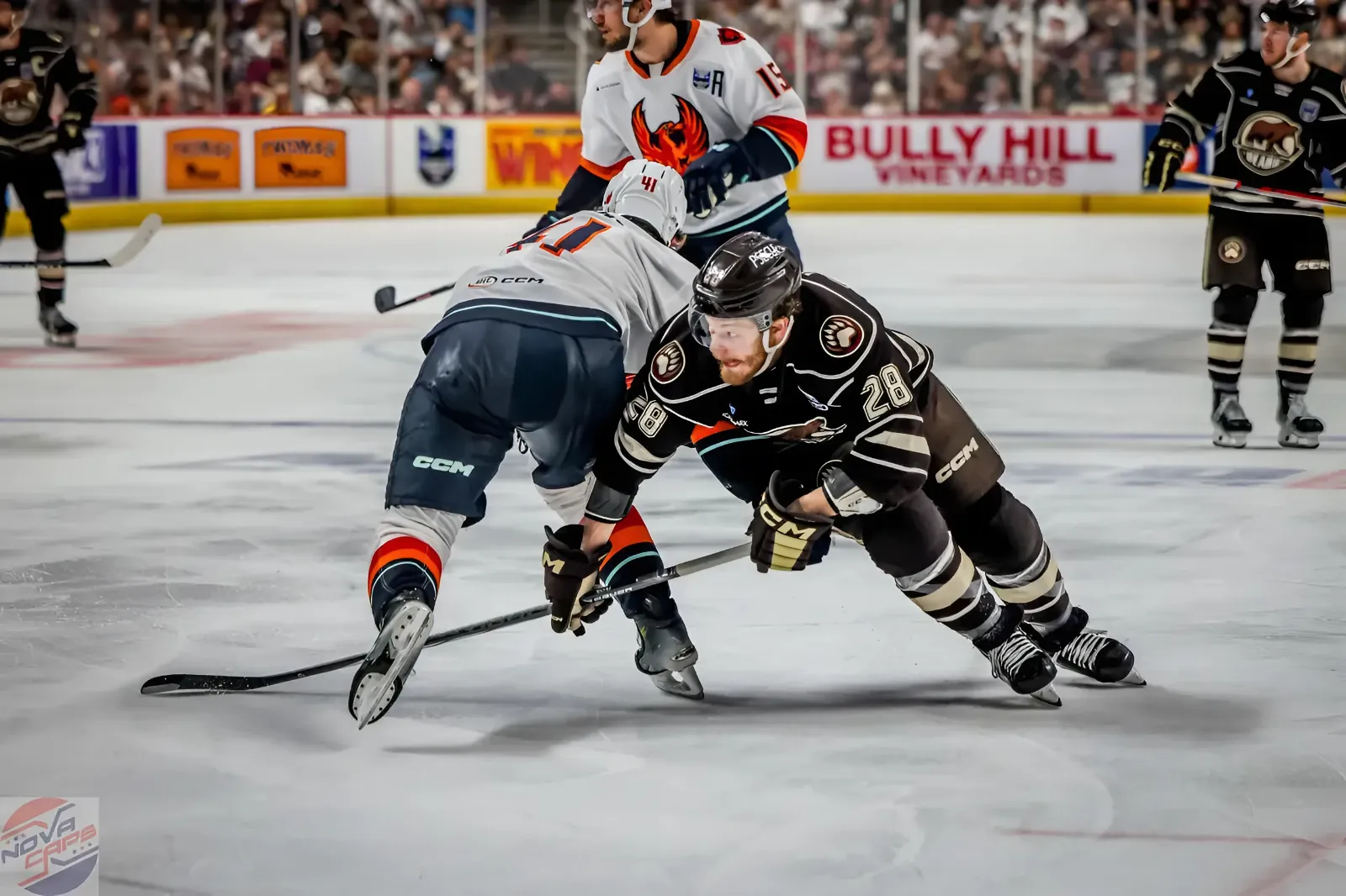 Capitals sign Ethen Frank to two-year deal, Chad Priskie to one-year deal