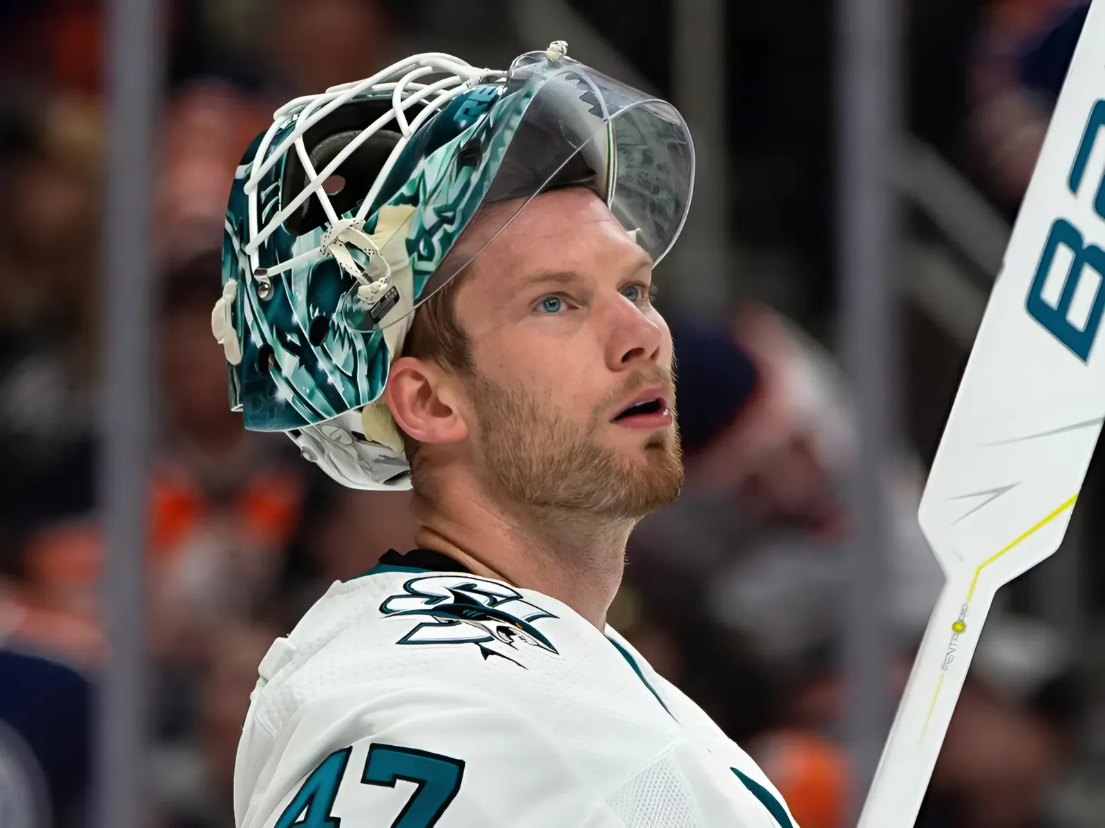 Buffalo Sabres Sign Reliable, Veteran Goaltender