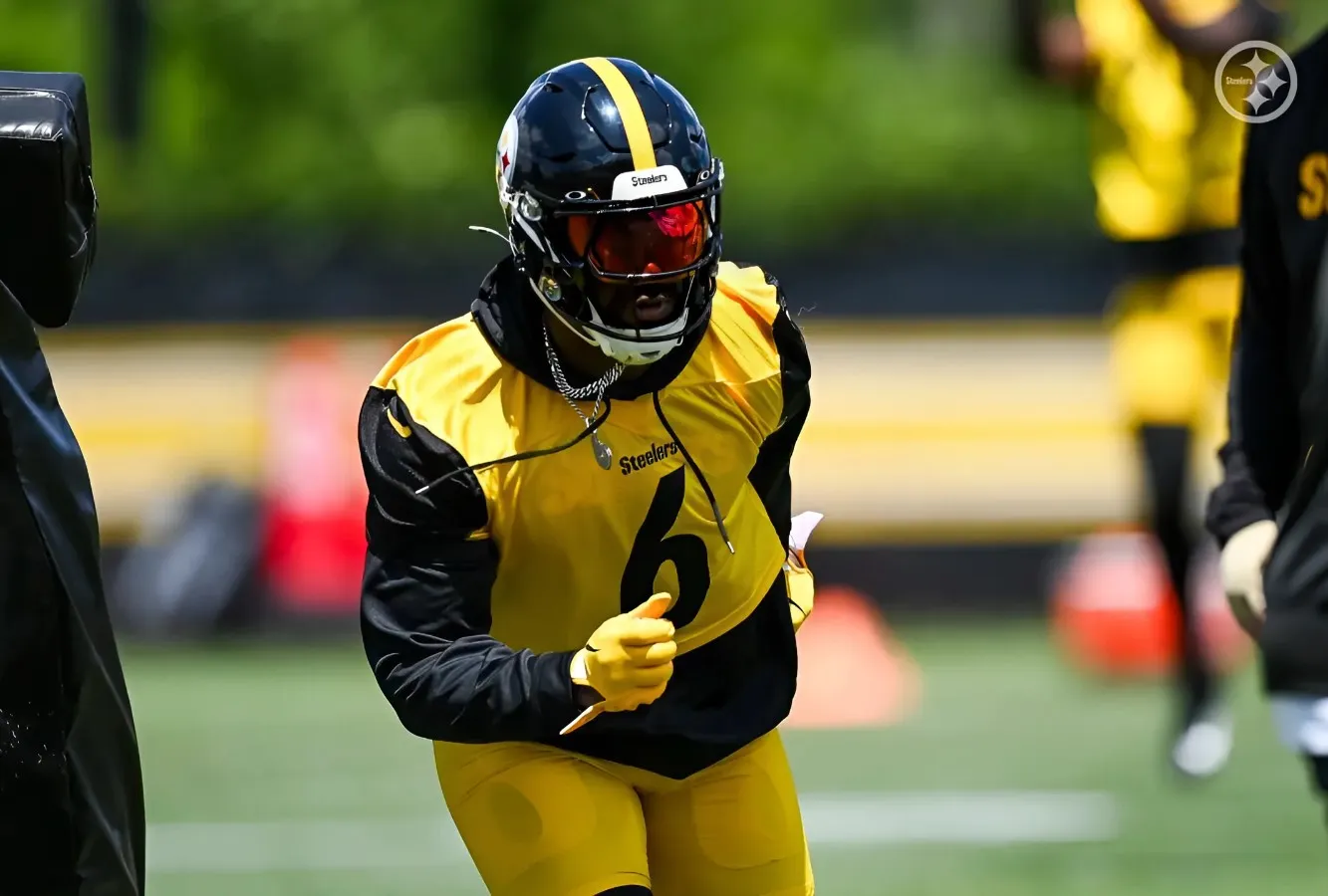 Steelers' Patrick Queen's Career Could Only Survive Because Of Roquan Smith: 'He's A Robin'