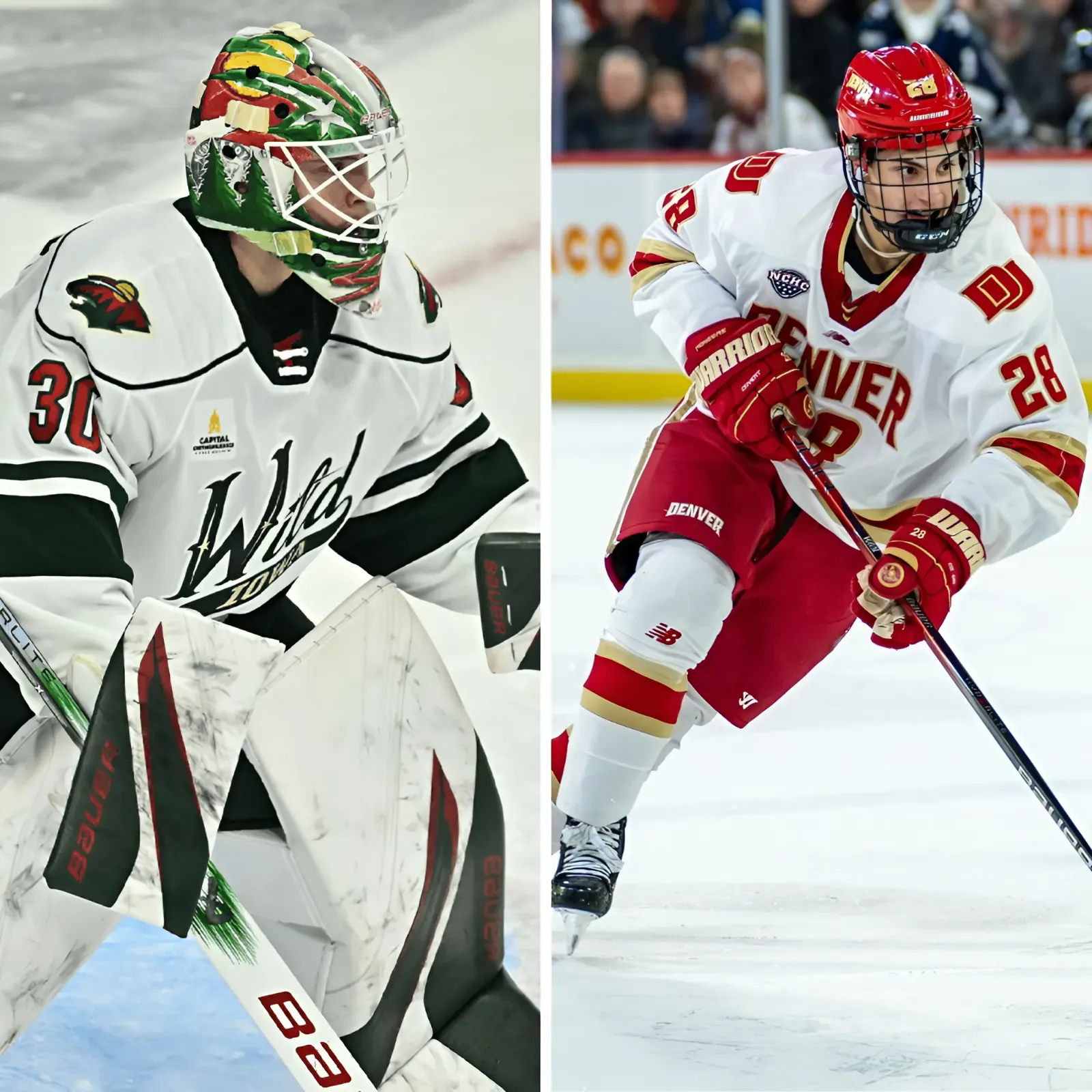 Minnesota Wild Top 10 Prospects: 2024 Offseason