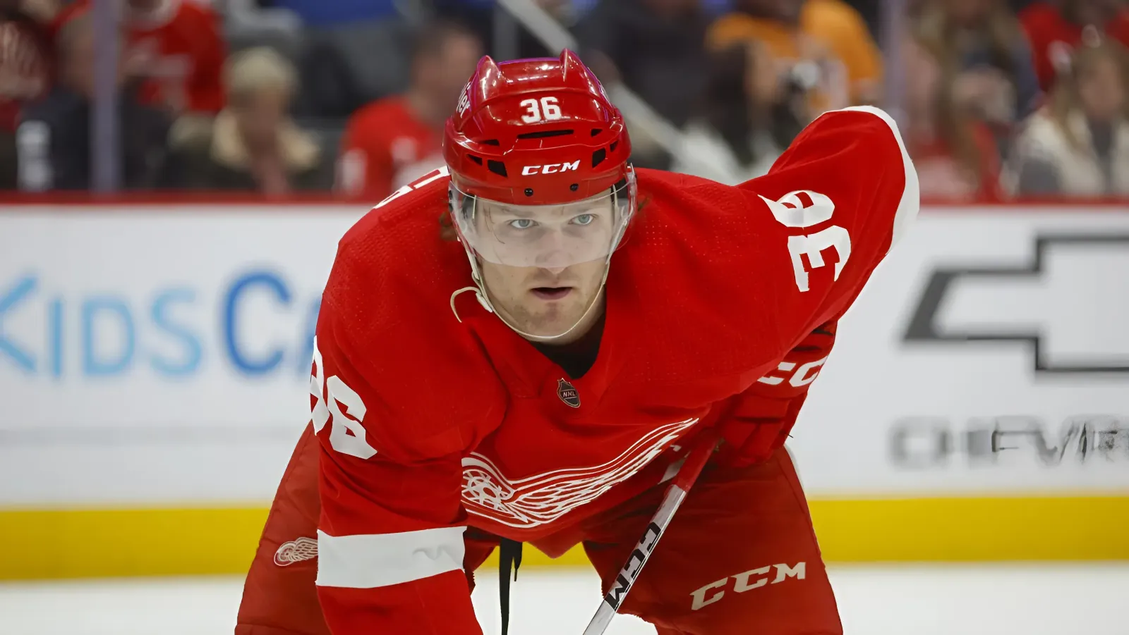 What Are Realistic Offensive Expectations For Red Wings Fischer?