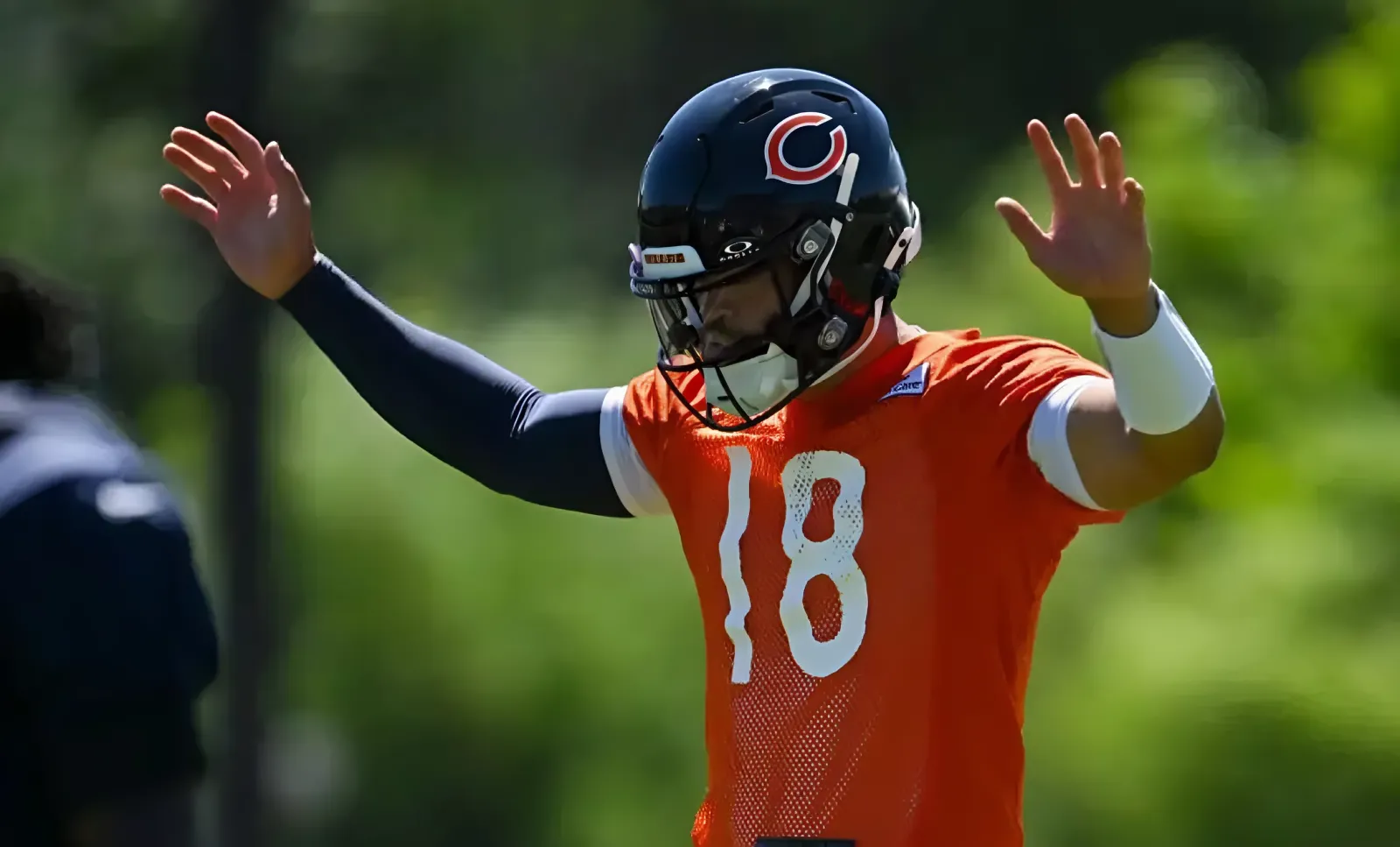 Bears training camp tickets open to public