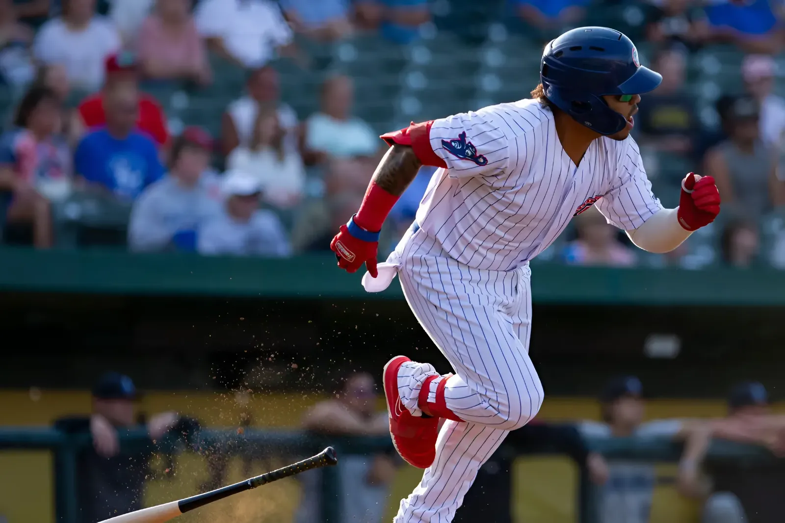 Chicago Cubs Minor League Wrap: July 14