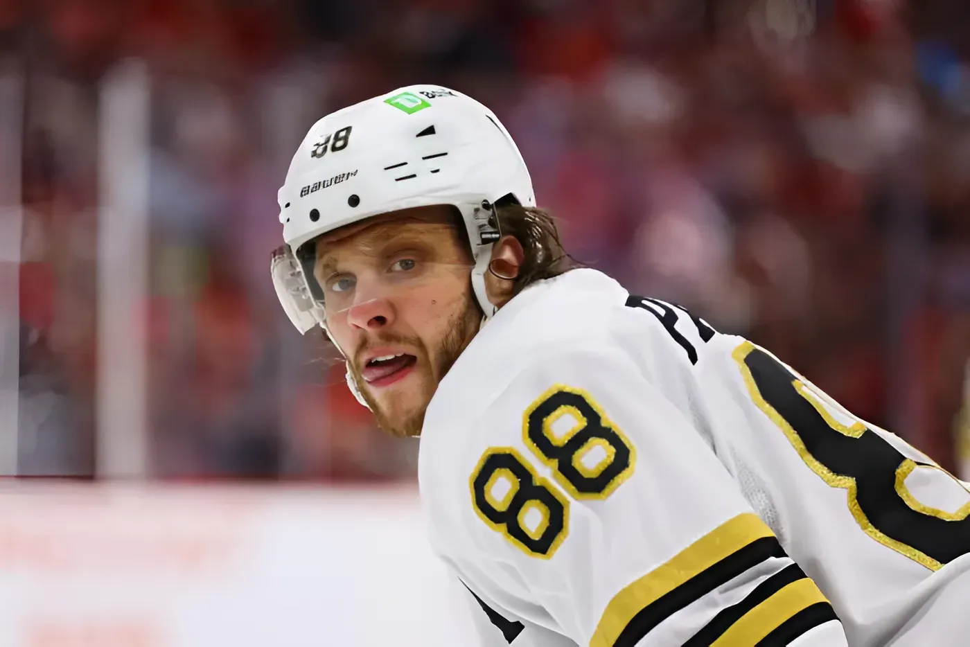 Bruins' David Pastrnak Joined Elite Company in 2023-24