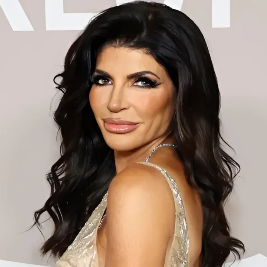 Teresa Giudice Accused of ‘Actively Working’ With Bloggers and Trolls to Smear RHONJ Cast