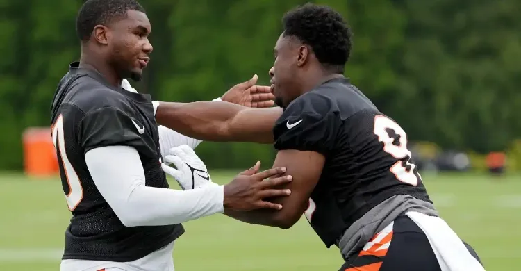 Chiefs Cut Undrafted Rookie to Make Room for Former Bengals LB: Report